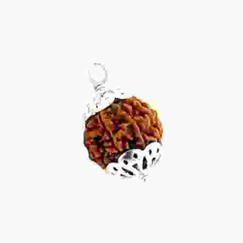 Natural 7 Mukhi Rudraksha Lab Certified Pendant in Silver 