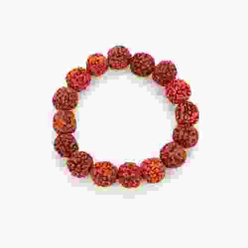 Natural 5 Mukhi Rudraksha Bracelet