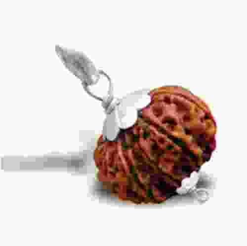 Natural 8 Mukhi Rudraksha Lab Certified Pendant in Silver 