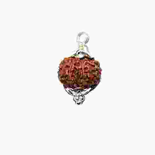 Natural 9 Mukhi Rudraksha Lab Certified Pendant in Silver 