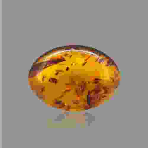 Amber Gemstone - 5.93 Carat