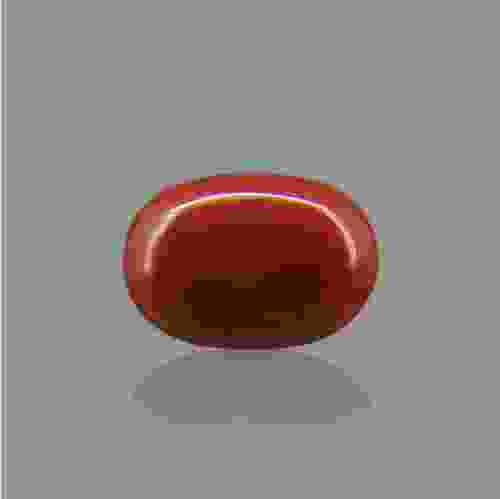 Red Coral (Moonga) Italian - 8.70 Carat (9.50 Ratti)