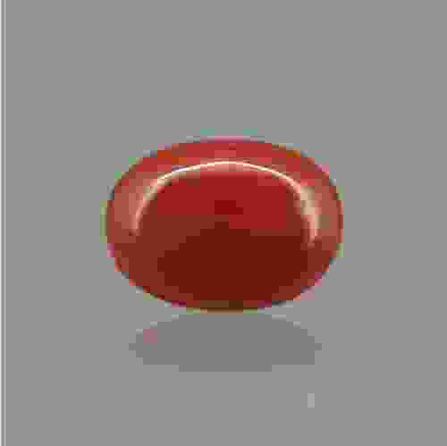 Red Coral (Moonga) Italian - 6.56 Carat (7.25 Ratti)