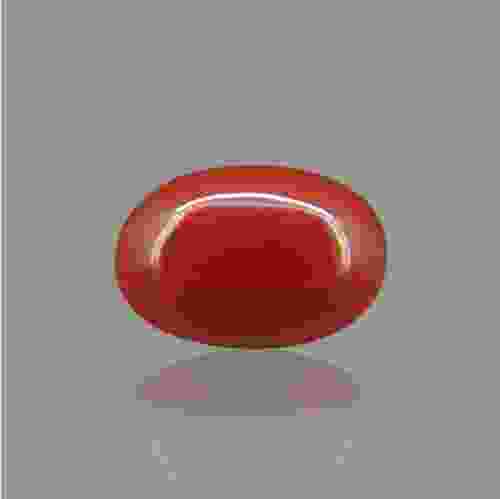 Red Coral (Moonga) Italian - 6.60 Carat (7.30 Ratti)
