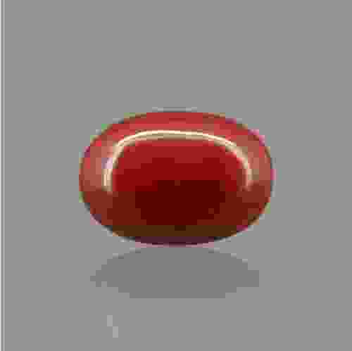 Red Coral (Moonga) Italian - 8.88 Carat (9.50 Ratti)