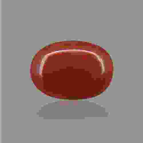 Red Coral (Moonga) Italian - 8.83 Carat (9.50 Ratti)