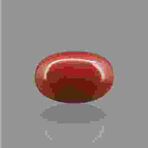 Red Coral (Moonga) Italian - 6.28 Carat (7.00 Ratti)