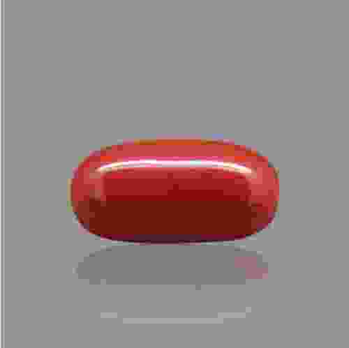 Red Coral (Moonga) Italian - 4.08 Carat (4.50 Ratti)