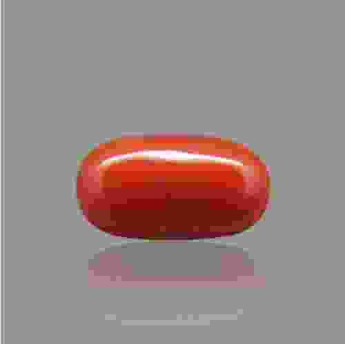 Red Coral (Moonga) Italian - 4.22 Carat (4.50 Ratti)