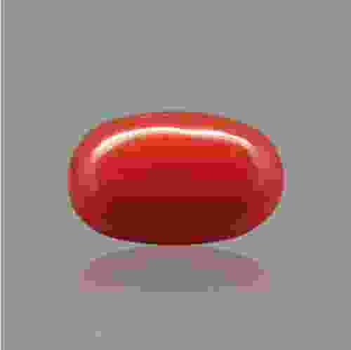 Red Coral (Moonga) Italian - 3.07 Carat (3.25 Ratti)