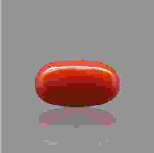 Red Coral (Moonga) Italian - 3.54 Carat (4.00 Ratti)