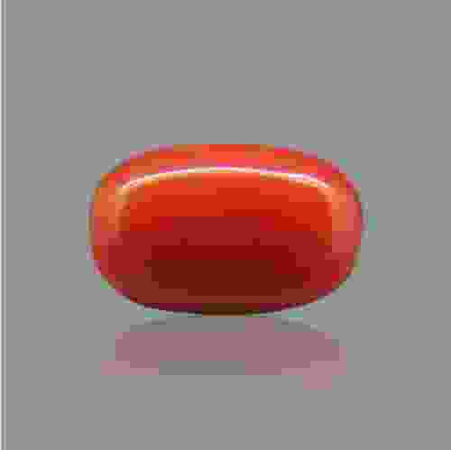 Red Coral (Moonga) Italian - 3.52 Carat (4.00 Ratti)