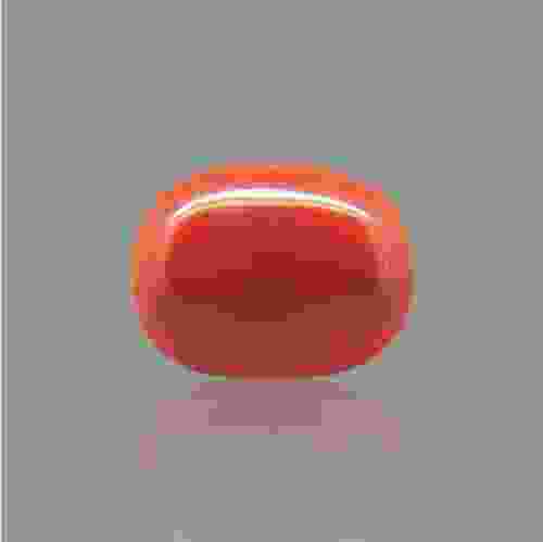 Red Coral (Moonga) Italian - 14.63 Carat (16.25 Ratti)