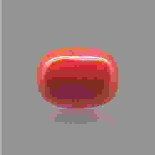 Red Coral (Moonga) Italian - 16.42 Carat (18.25 Ratti)
