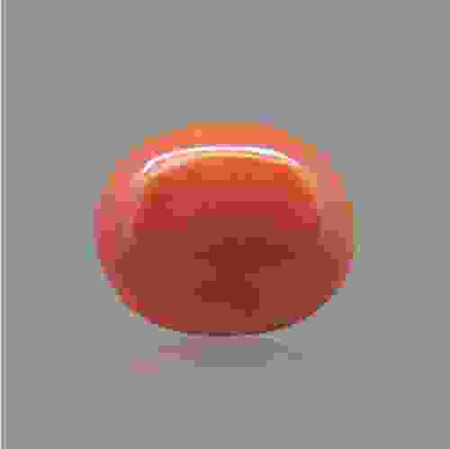 Red Coral (Moonga) Japanese - 6.26 Carat (7.00 Ratti)
