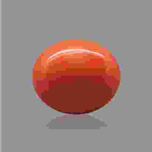Red Coral (Moonga) Japanese - 6.28 Carat (7.00 Ratti)