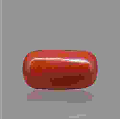 Red Coral (Moonga) Italian - 10.04 Carat (11.25 Ratti)