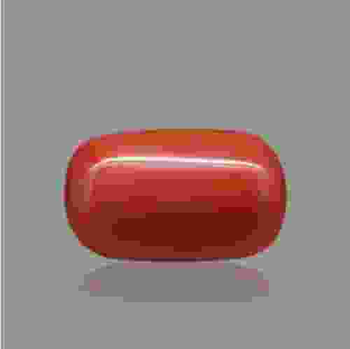 Red Coral (Moonga) Italian - 11.09 Carat (12.25 Ratti)