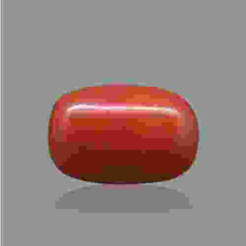 Red Coral (Moonga) Italian - 7.58 Carat (8.50 Ratti)