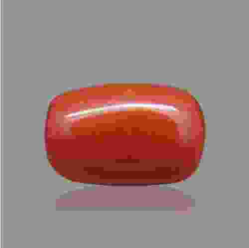 Red Coral (Moonga) Italian - 6.26 Carat (7.00 Ratti)