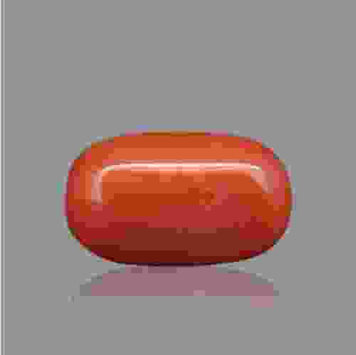 Red Coral (Moonga) Japenese - 9.13 Carat (10.25 Ratti)