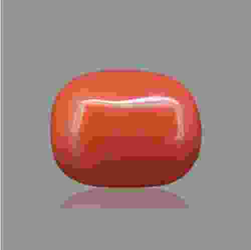 Red Coral (Moonga) Japenese - 13.22 Carat (14.50 Ratti)