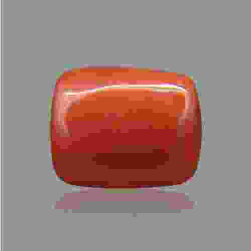 Red Coral (Moonga) Italian - 13.33 Carat (15.00 Ratti)