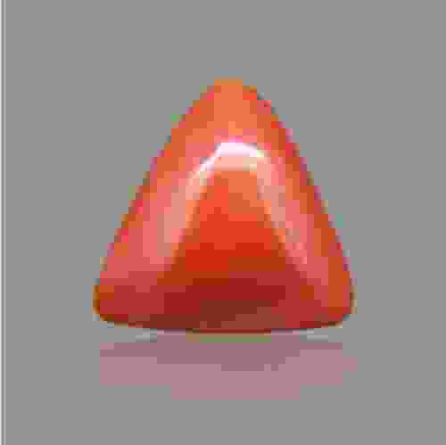 Red Coral - 12.35 Carat