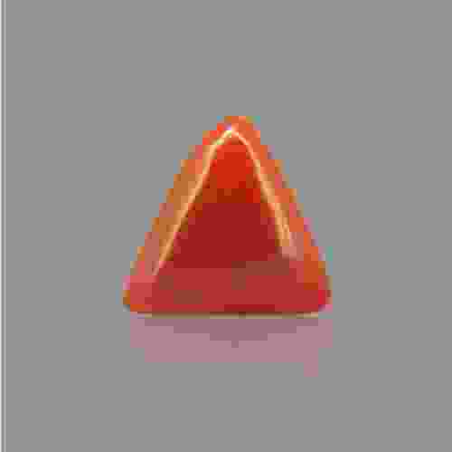 Red Coral - 7.40 Carat