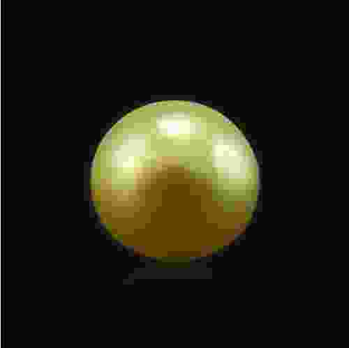 Golden South Sea Pearl - 3.43 Carat (3.80 Ratti)