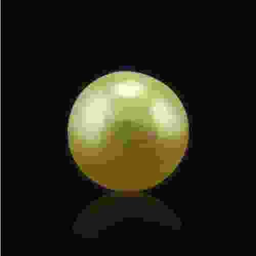 Golden South Sea Pearl - 3.36 Carat (3.70 Ratti)