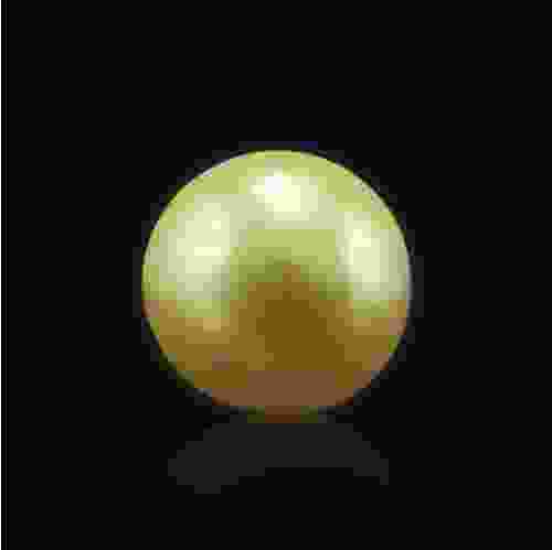Golden South Sea Pearl - 7.13 Carat (8.00 Ratti)