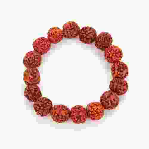 Natural 5 Mukhi Rudraksha Bracelet
