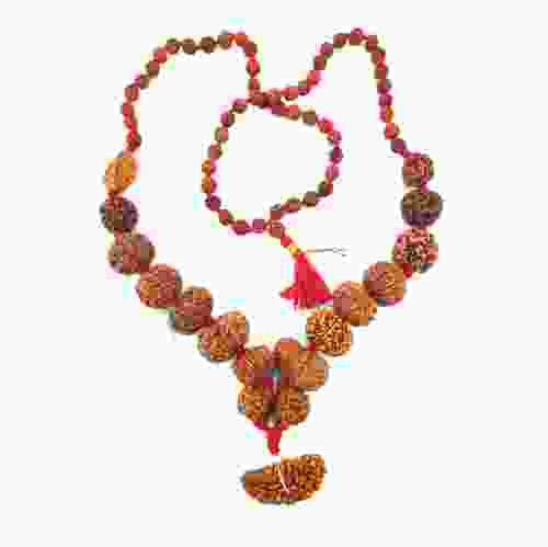 1 to 14 Mukhi Nepal Rudraksha Siddha Mala
