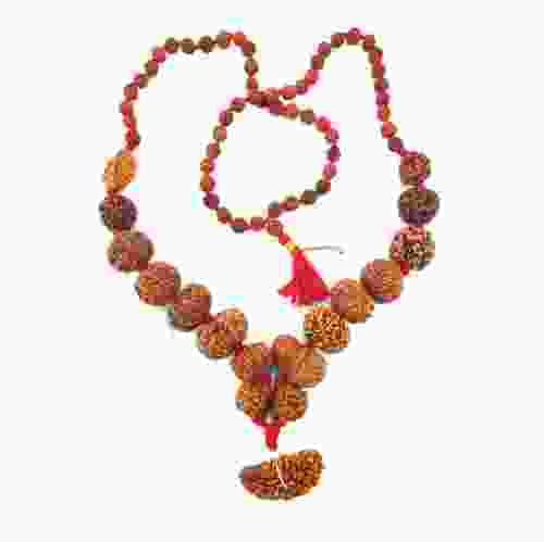 1 to 14 Mukhi Rudraksha Siddha Mala