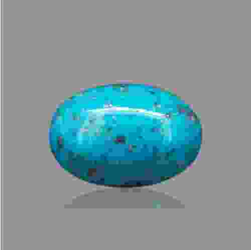 Turquoise (Firoza) Irani- 16.18 Carat