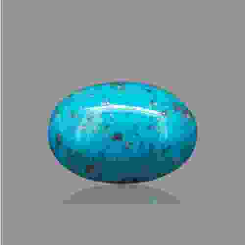 Turquoise (Firoza) - 16.18 Carat