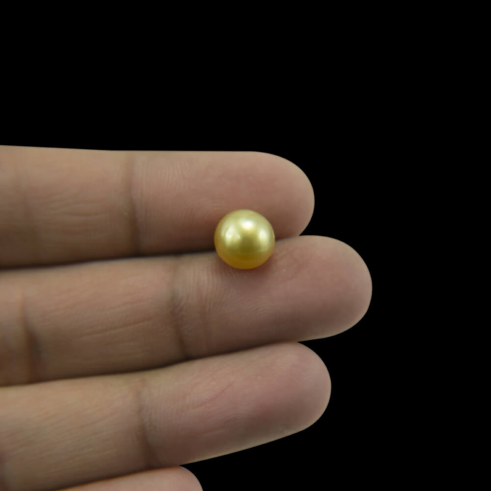 Golden Sea Pearl - 4.47 Carat (5.00 Ratti)