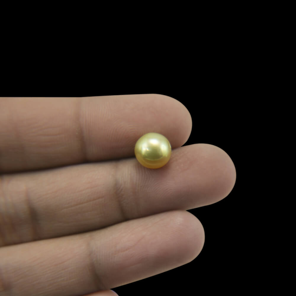 Golden Sea Pearl - 4.56 Carat (5.10 Ratti)