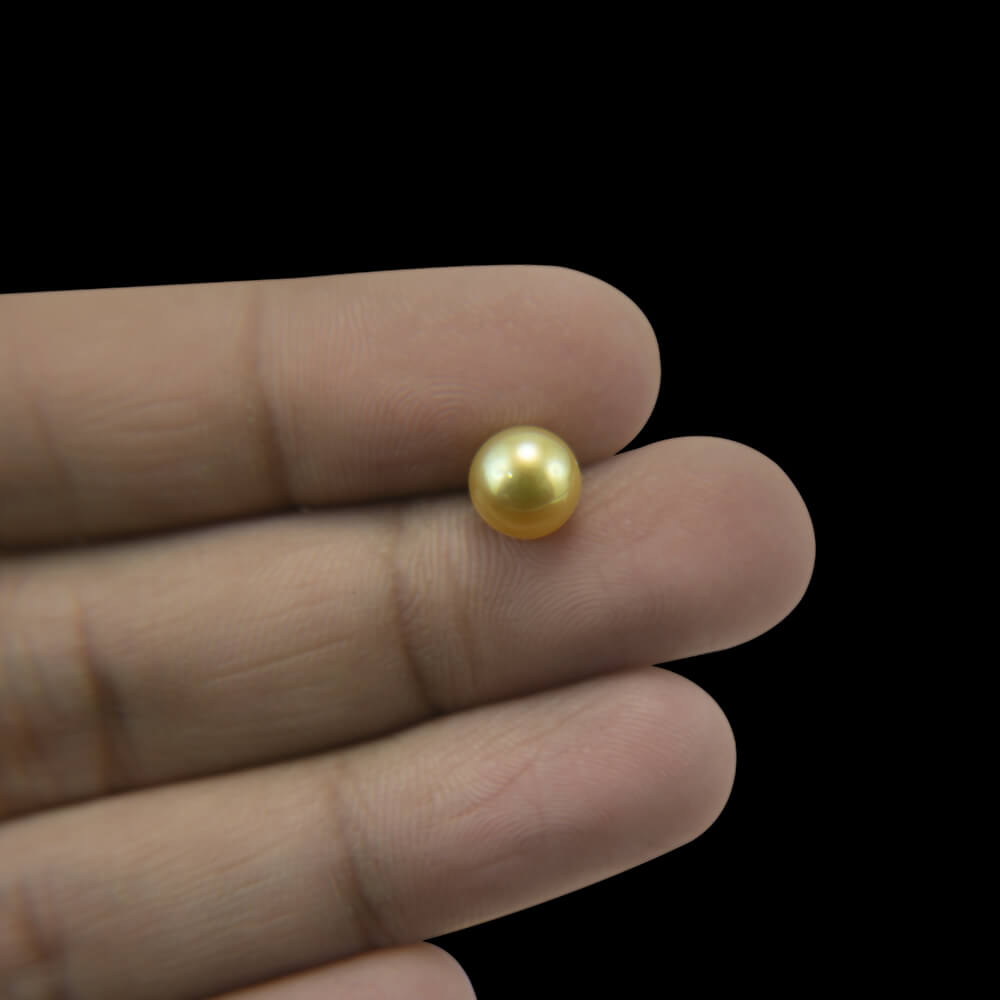Golden Sea Pearl - 3.18 Carat (3.50 Ratti)
