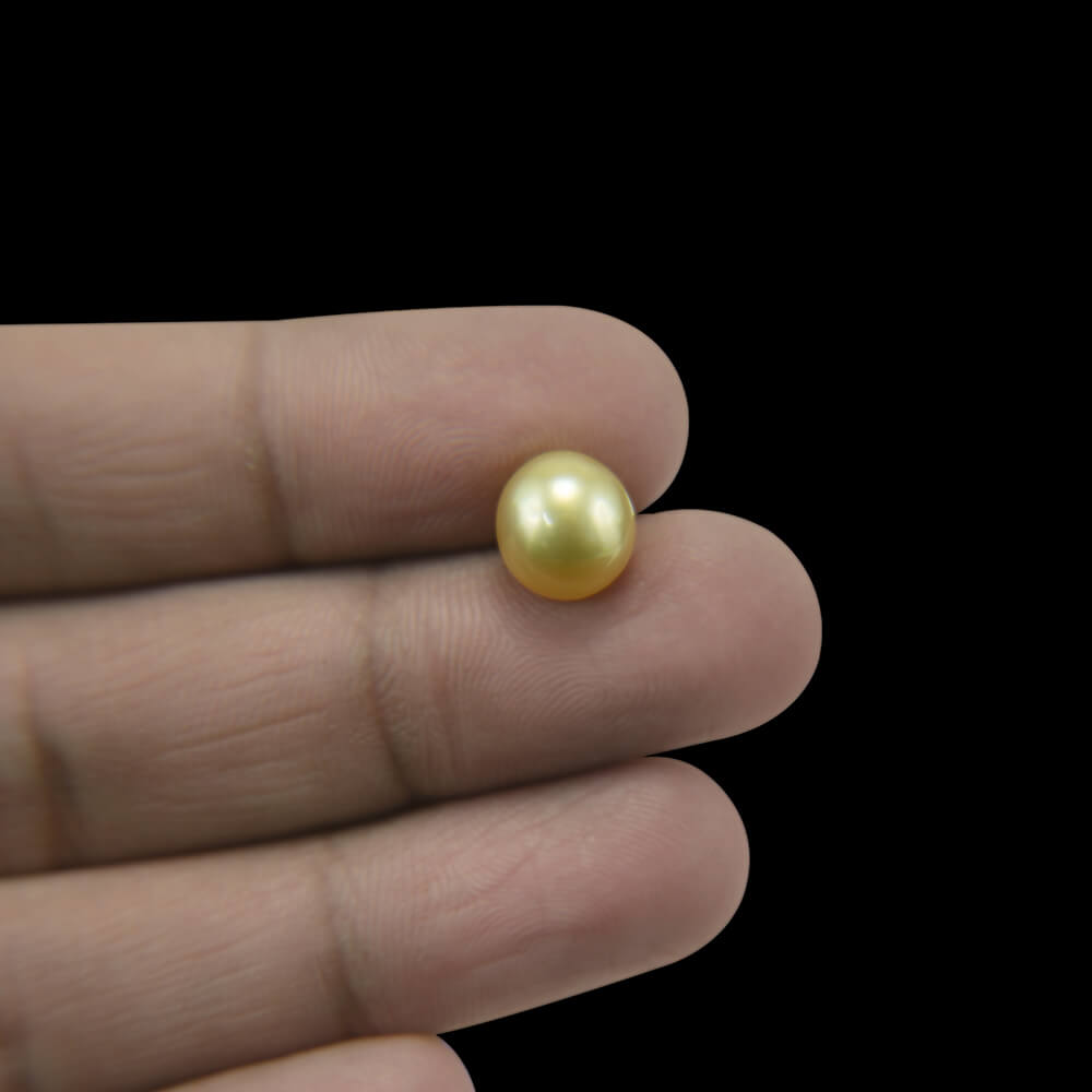Golden Sea Pearl - 5.27 Carat (5.80 Ratti)
