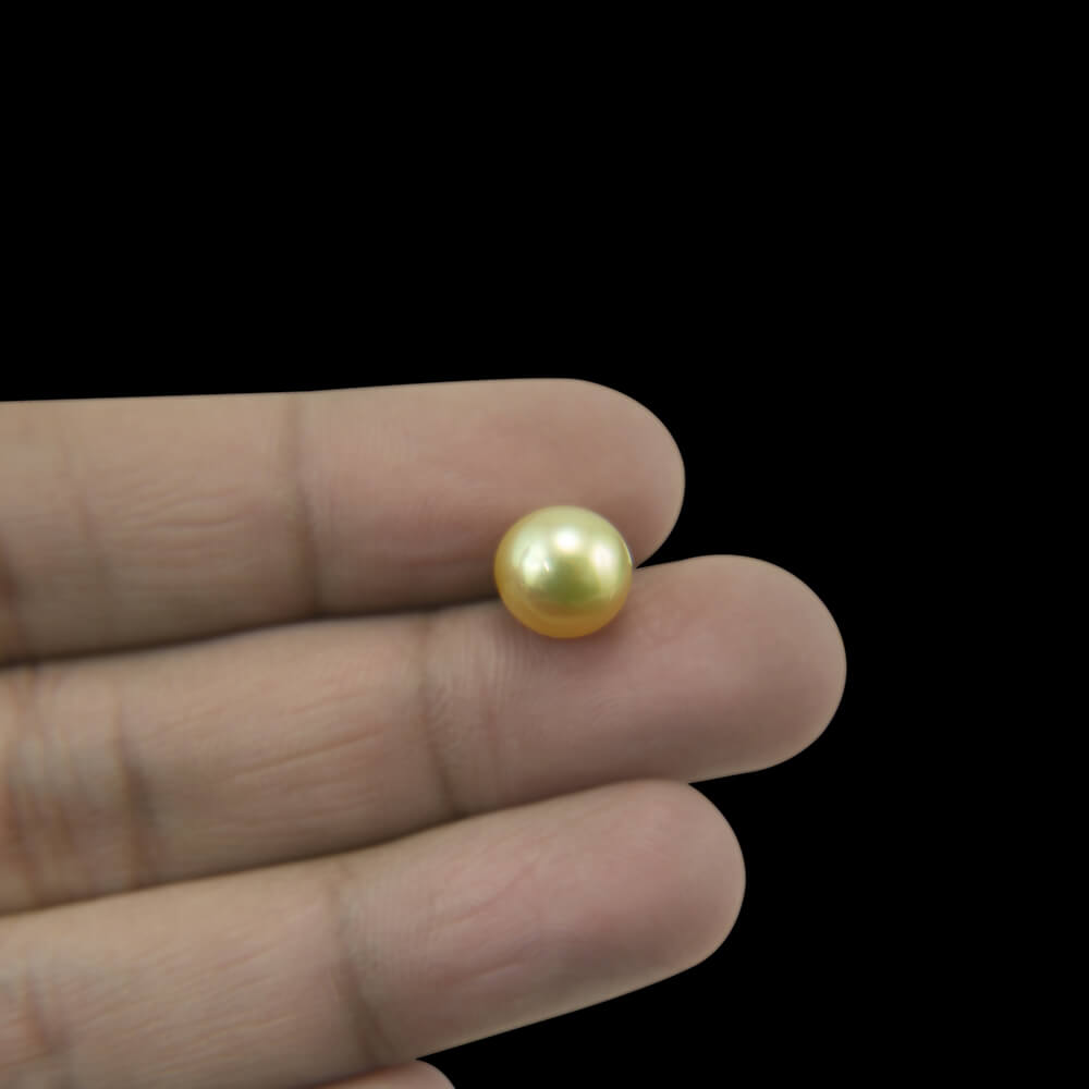Golden Sea Pearl - 5.45 Carat (6.10 Ratti)