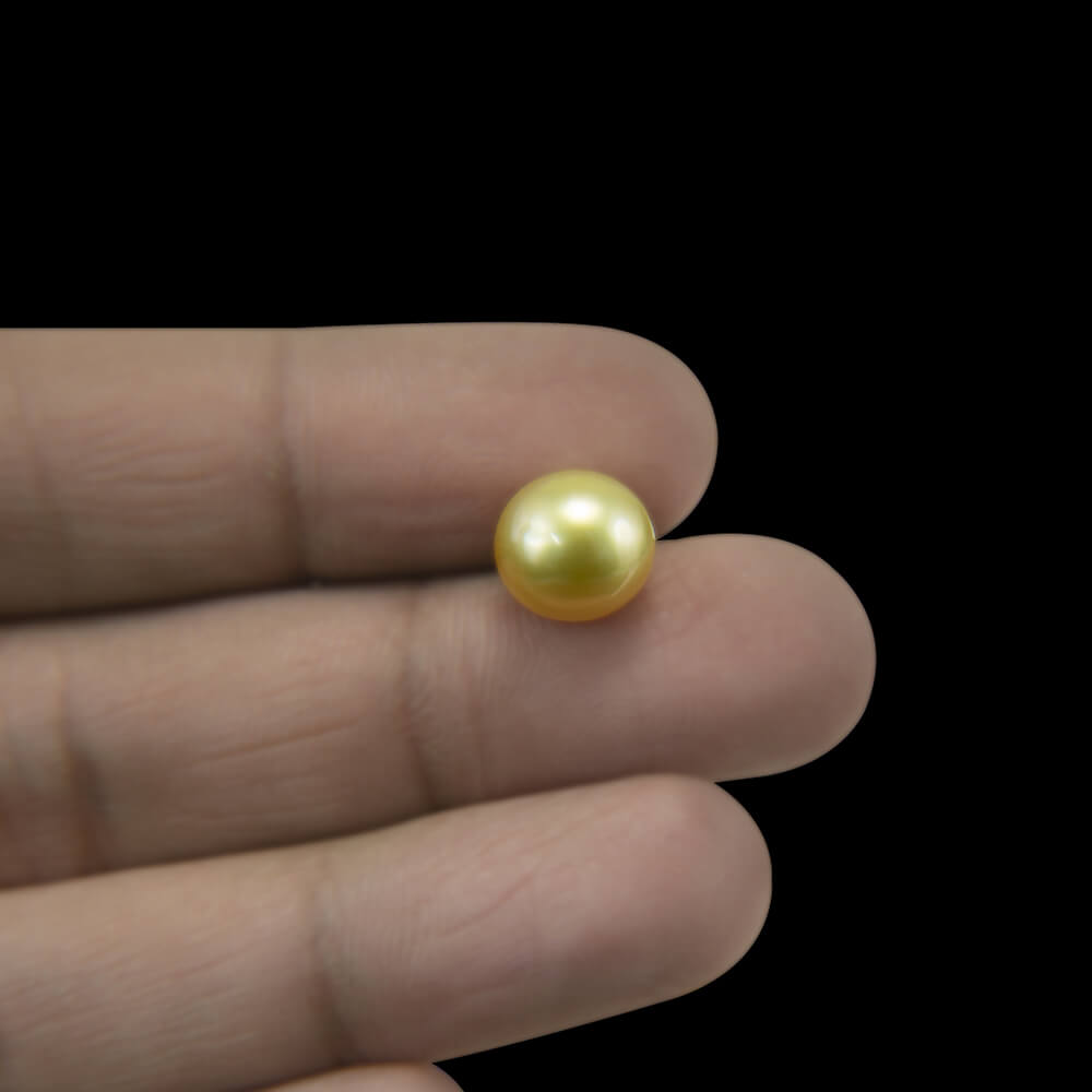 Golden Sea Pearl - 6.17 Carat (6.90 Ratti)