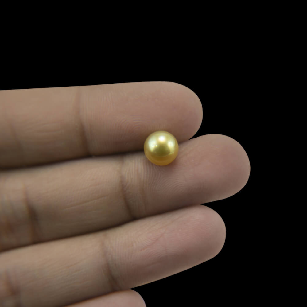 Golden South Sea Pearl - 8.27 Carat