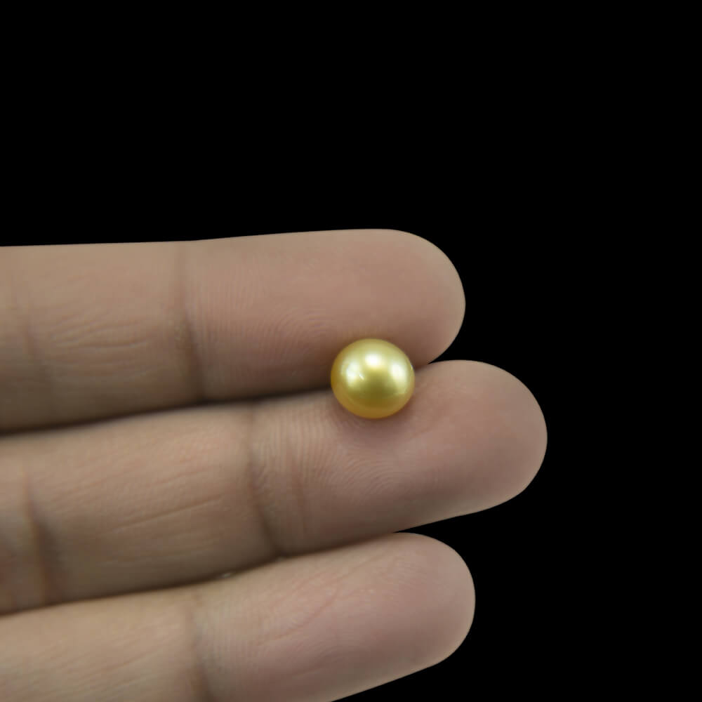 Golden South Sea Pearl - 3.43 Carat (3.80 Ratti)