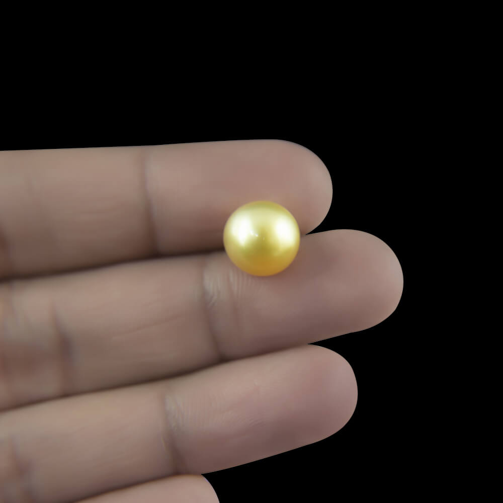 Golden South Sea Pearl - 2.95 Carat (3.25 Ratti)