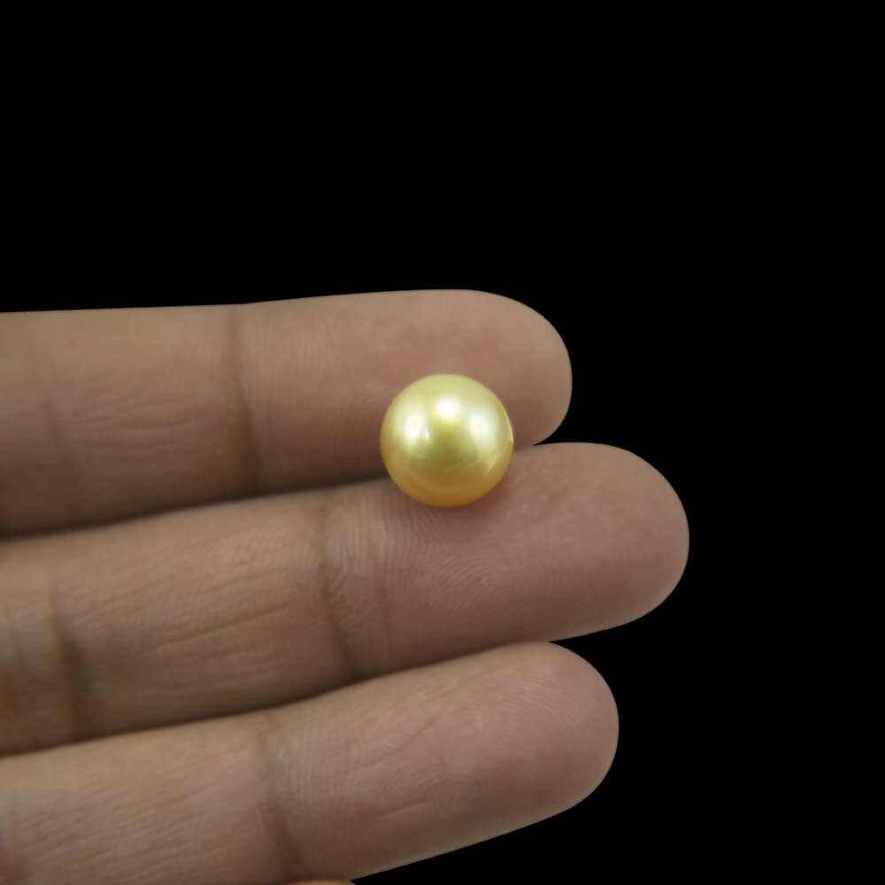 Golden South Sea Pearl - 7.13 Carat (8.00 Ratti)