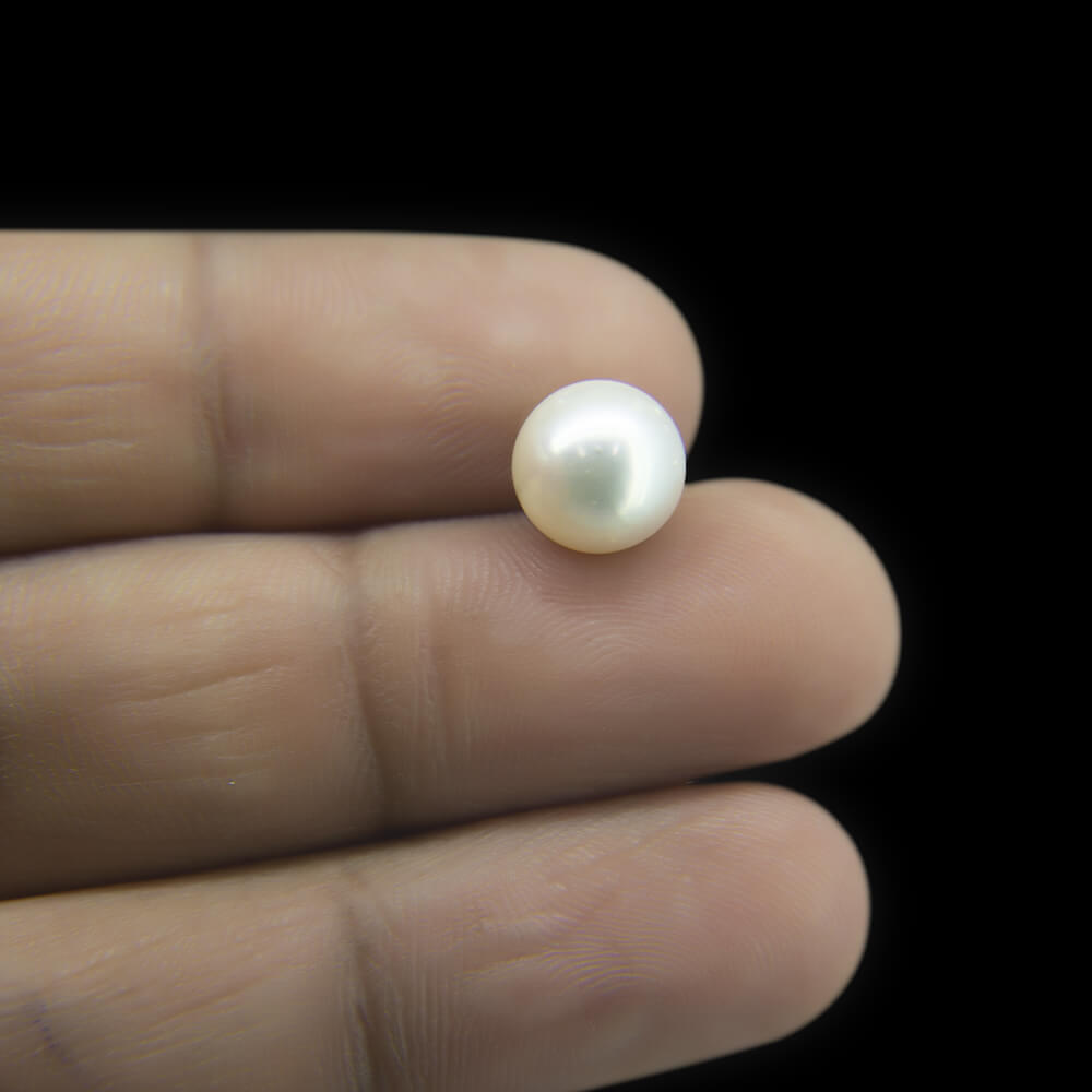 South Sea Pearl - 5.00 Carat (5.55 Ratti)
