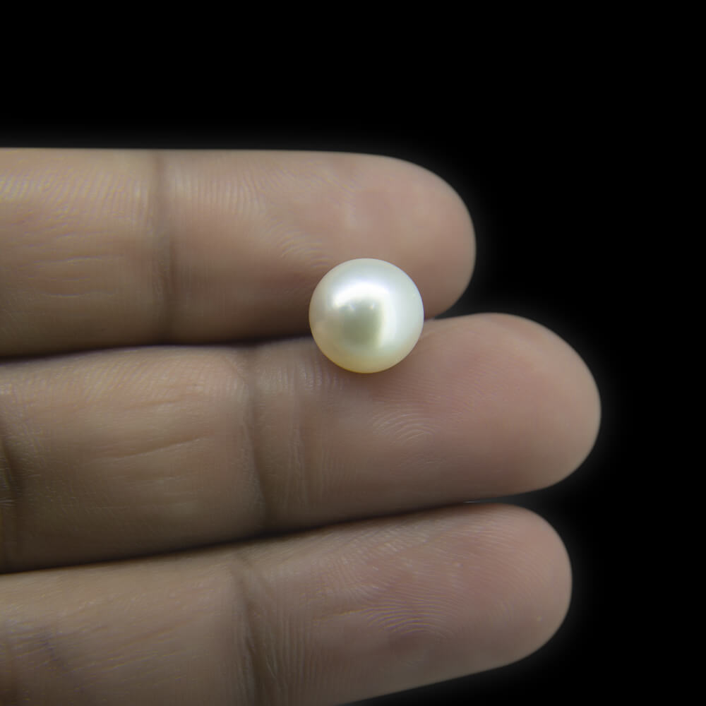 South Sea Pearl - 5.13 Carat (5.70 Ratti)