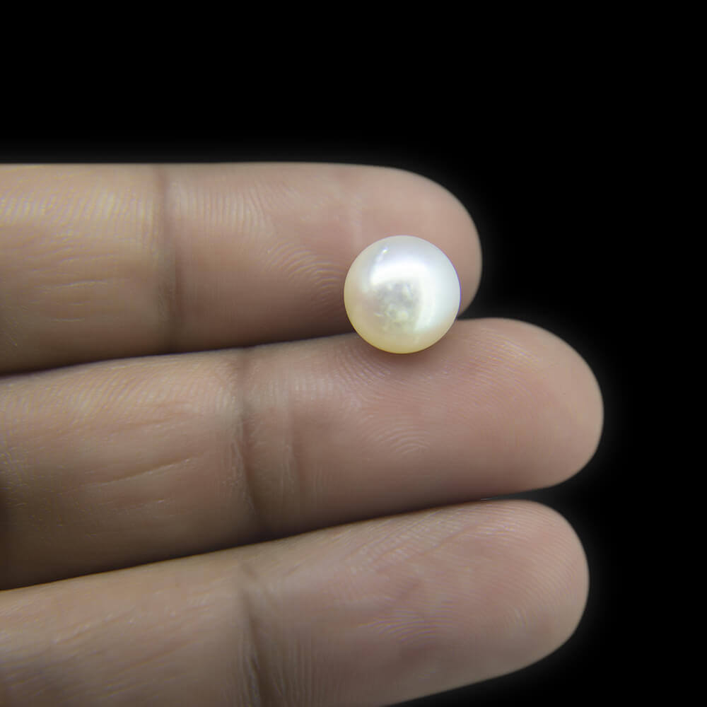 South Sea Pearl - 8.29 Carat